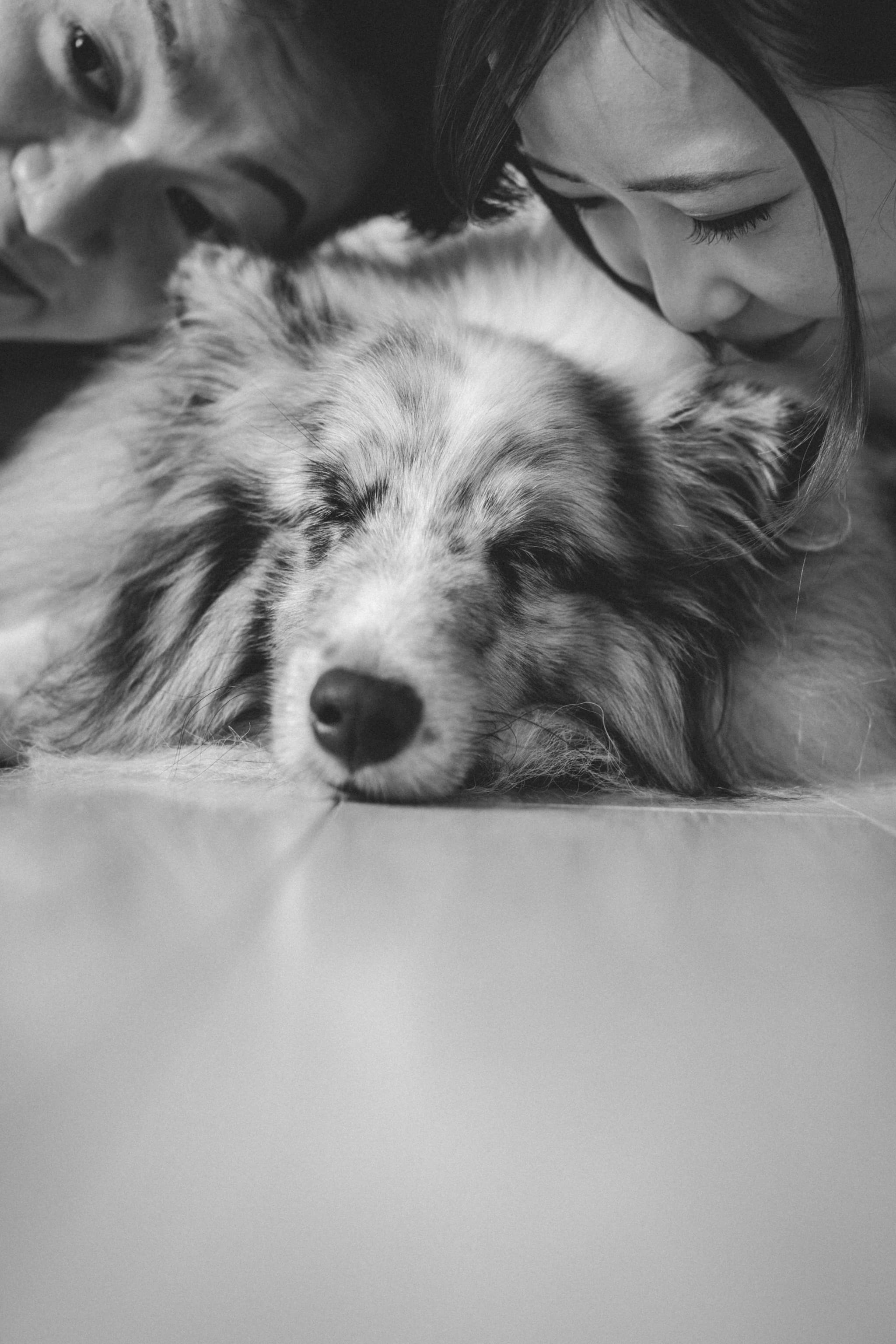 愛犬も主役！の和装フォトウェディング